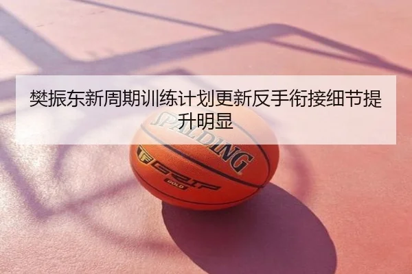 樊振东新周期训练计划更新反手衔接细节提升明显