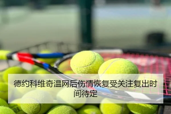 德约科维奇温网后伤情恢复受关注复出时间待定