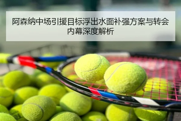 阿森纳中场引援目标浮出水面补强方案与转会内幕深度解析