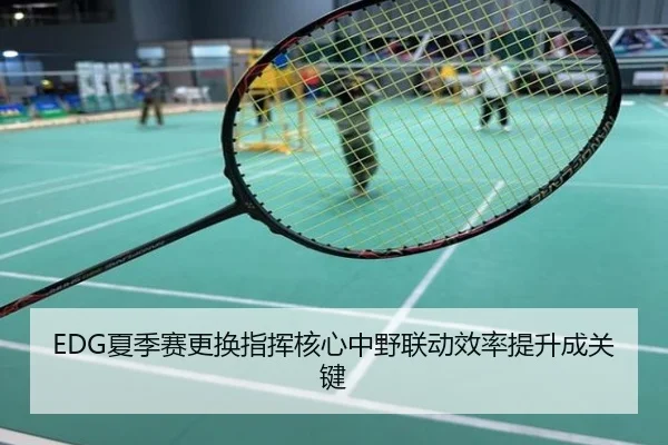 EDG夏季赛更换指挥核心中野联动效率提升成关键